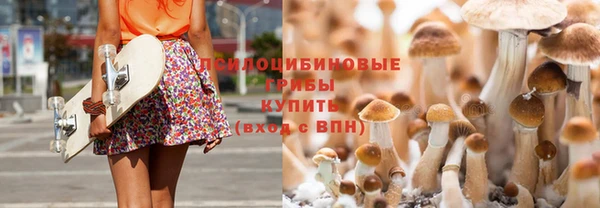 стафф Абинск