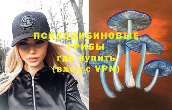 стафф Абинск