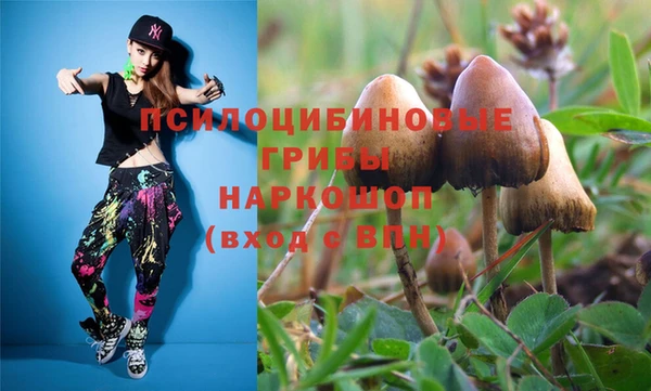 стафф Абинск